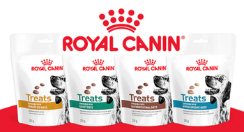 Hovedbilde Royal Canine