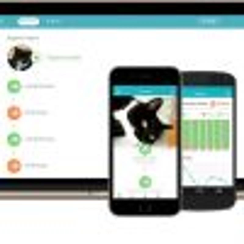SUREFLAP CONNECT HUB