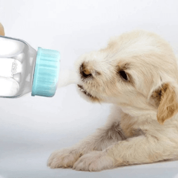 Hovedbilde Melkeerstatning