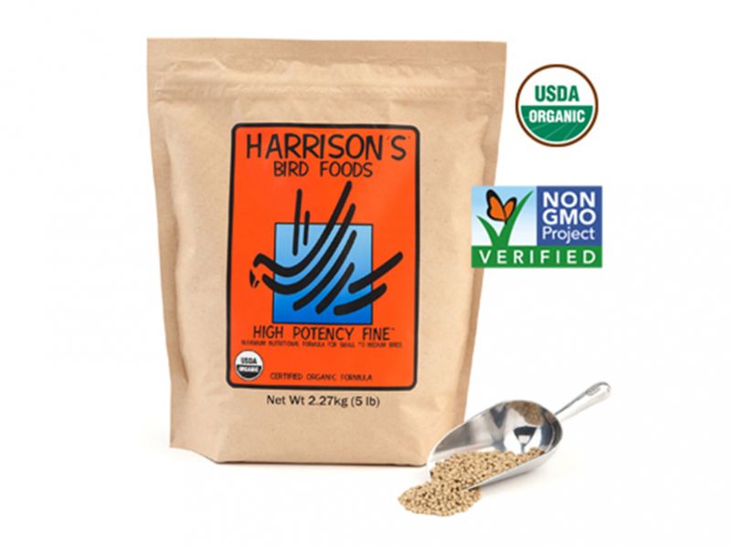 HIGH POTENCY FINE 1 pund dato 03.26 Tilbud!