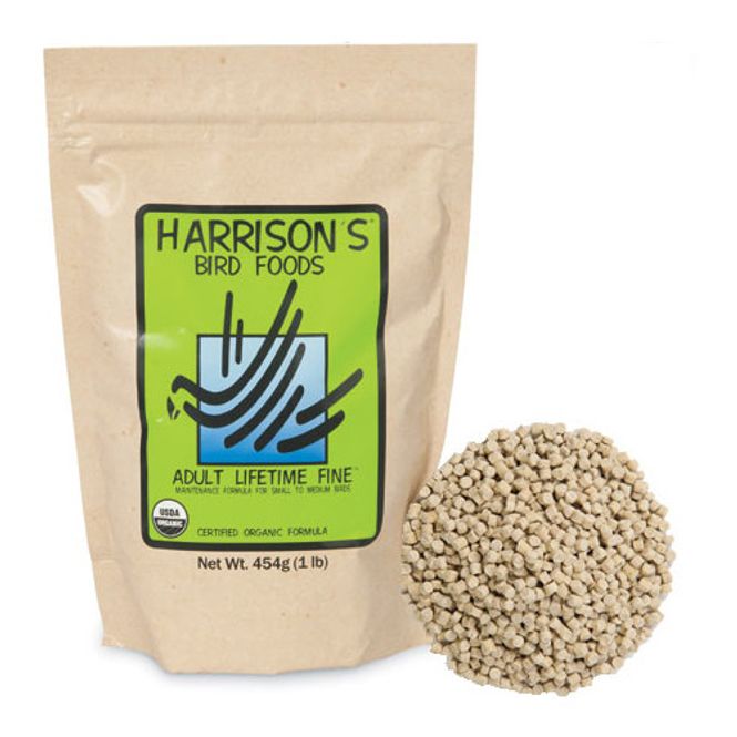 Hovedbilde ADULT LIFETIME FINE 5 pund dato 02.26