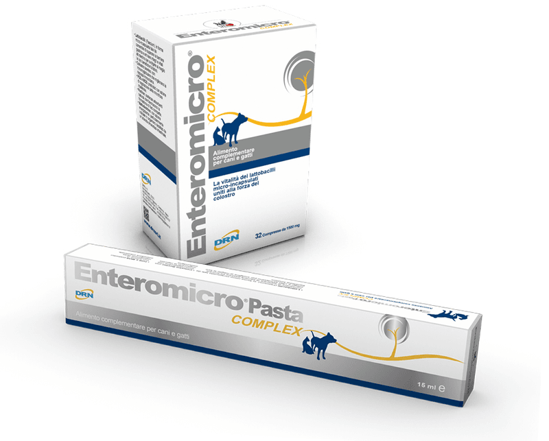 ENTEROMICRO COMPLEX PASTA 15ml