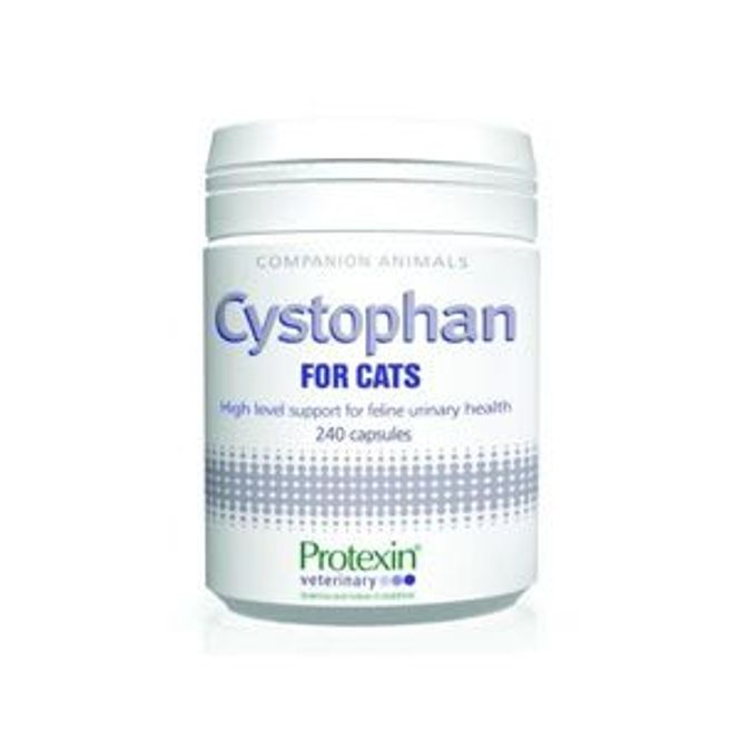 Hovedbilde CYSTOPHAN