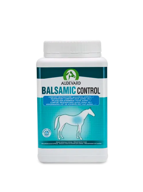 Hovedbilde BALSAMIC CONTROL