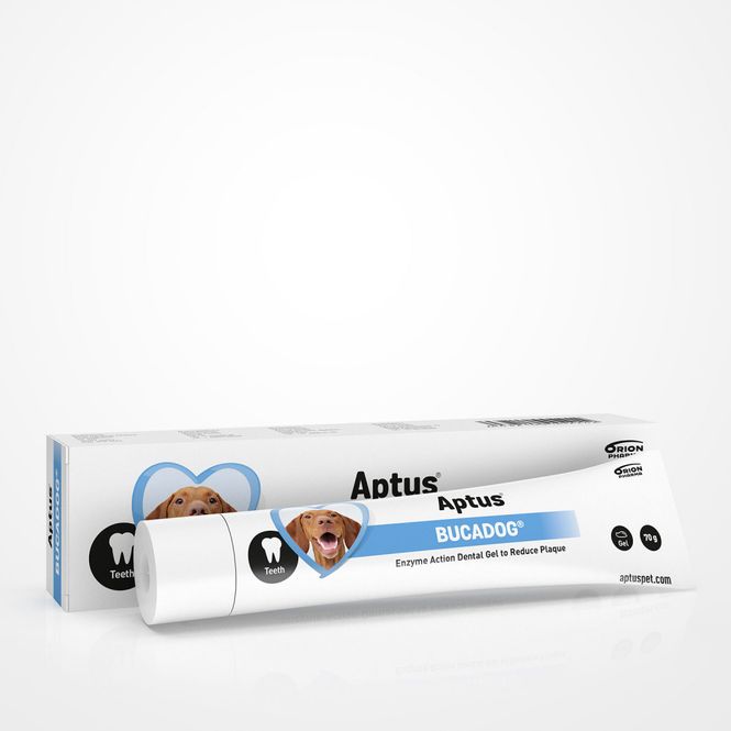 Hovedbilde APTUS BUCADOG TANNPASTA 70g