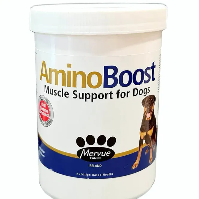Hovedbilde AMINO-BOOST - 100g