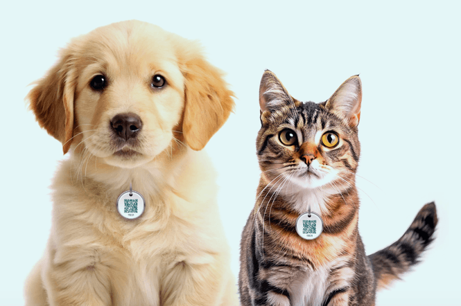 Hovedbilde DyreIDs QR-brikke