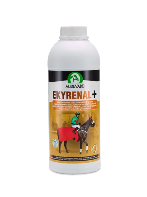 Hovedbilde EKYRENAL+ 